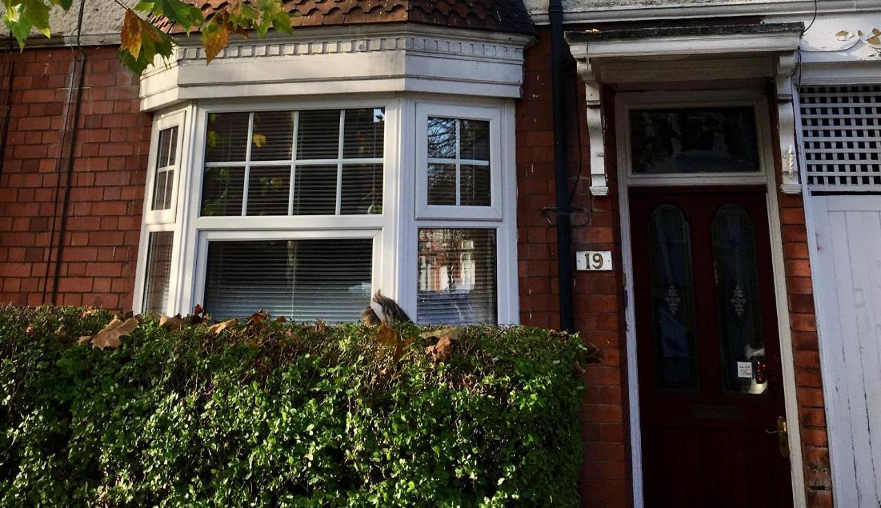 Lavender Apartment Leicester Exterior photo